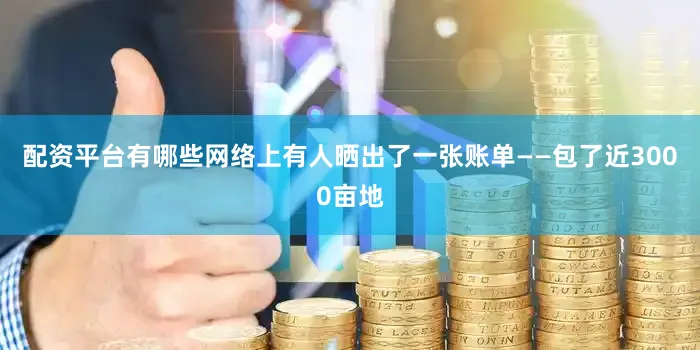 配资平台有哪些网络上有人晒出了一张账单——包了近3000亩地