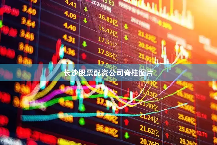 长沙股票配资公司脊柱图片