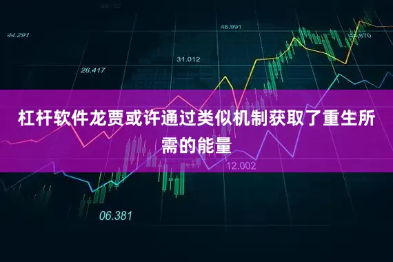 杠杆软件龙贾或许通过类似机制获取了重生所需的能量